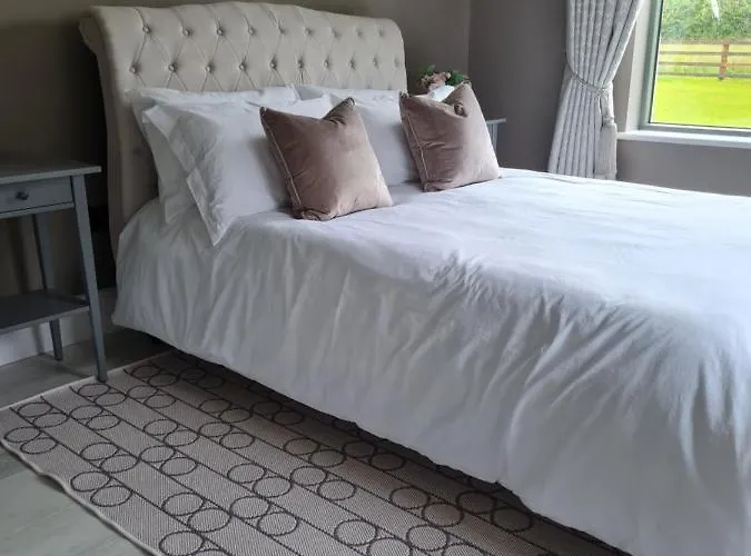 The Little White House * Tyrrellspass